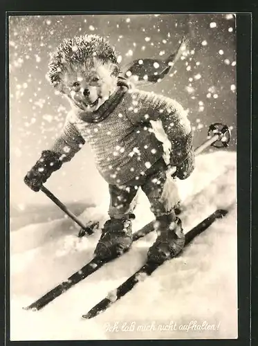 AK Mecki fährt im Schneesturm Ski