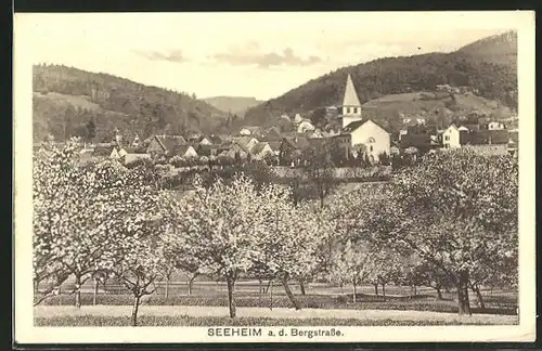 AK Seeheim a. d. Bergstrasse, Gesamtansicht