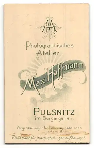 Fotografie Max Hoffmann, Pulsnitz, Portrait Frau mit zurückgebundenem Haar