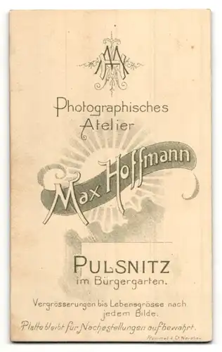 Fotografie Max Hoffmann, Pulsnitz, Portrait junger Herr in Anzug