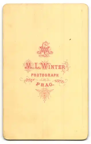 Fotografie M. L. Winter, Prag, Portrait älterer Herr mit Vollbart im Anzug