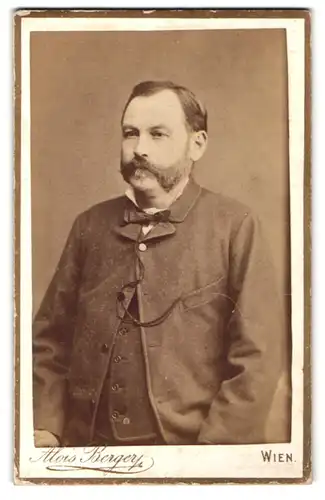 Fotografie Alois Bergery, Wien, Portrait bürgerlicher Herr mit Backenbart und Fliege