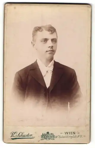 Fotografie K. Schuster, Wien, Portrait junger Herr mit Seitenscheitel im Anzug mit Fliege