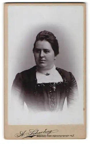 Fotografie A. Scherhag, Worms / Rhein, Portrait hübsches dunkelhaariges Fräulein mit Dutt in edler Bluse mit Stickerei