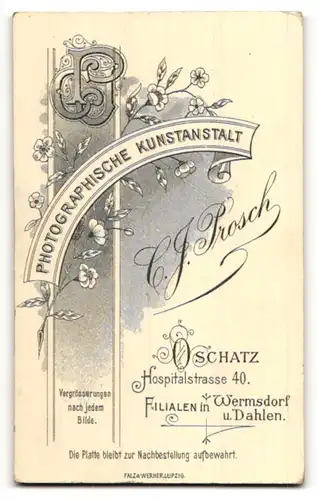 Fotografie G. J. Prosch, Oschatz, hübsches Fräulein mit Ohrringen in edler Bluse mit Stickerei