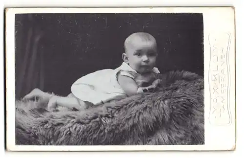 Fotografie Max Blum, Meerane, Portrait Säugling in Leibchen