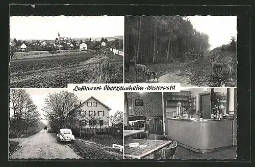 AK Oberzeuzheim /Westerwald, Gesamtansicht, Waldpartie, Gasthaus-Pension "Waldesruh"