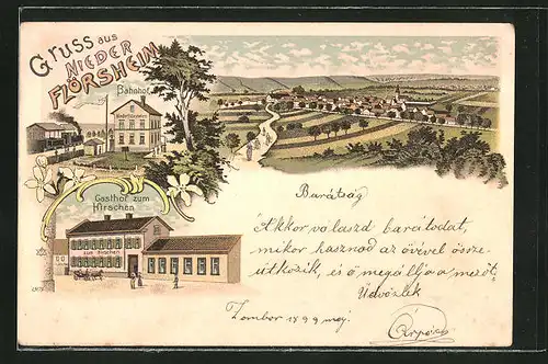 Lithographie Nieder Flörsheim, Gasthof zum Kirschen, Gesamtansicht aus der Vogelschau