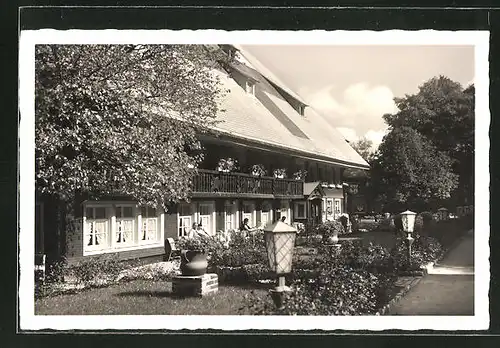AK Hinterzarten / Schwarzwald, Hotel Adler
