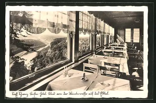 AK Bastei, Bastei-Hotel von Wilhelm Hübel, Ausblick vom Restaurant