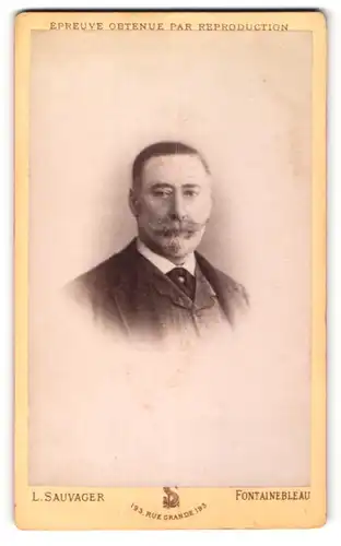 Fotografie L. Sauvager, Fontainebleau, Portrait Herr mit Bart