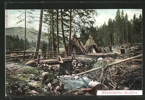 AK Köhlerhütten im Harz, Waldidyll