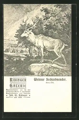 Lithographie Weisser Sechzehnender Hirsch blickt über die Landschaft