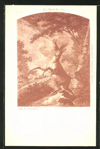 Lithographie Sich aufbäumender Hirsch am Waldesrand