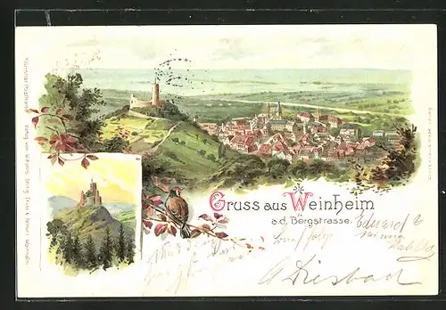 Lithographie Weinheim a. Bergstrasse, Totalansicht aus der Vogelschau