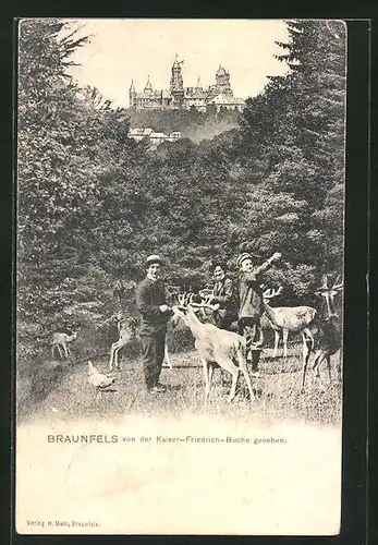 AK Braunfels, Schloss von der Kaiser-Friedrich-Buche gesehen