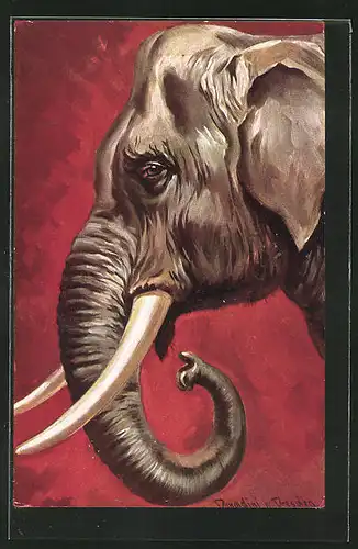 Künstler-AK Ermenegildo Carlo Donadini: indischer Elefant