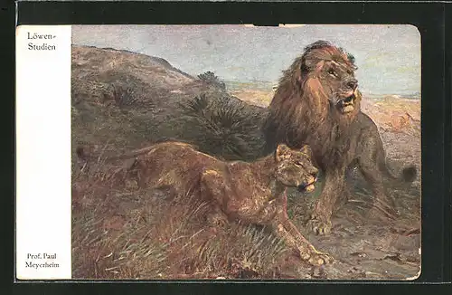 Künstler-AK Löwenstudie mit zwei Tieren