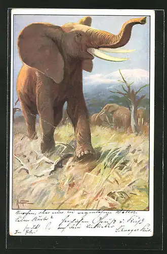 Künstler-AK Trompetender Elefant mit Herde