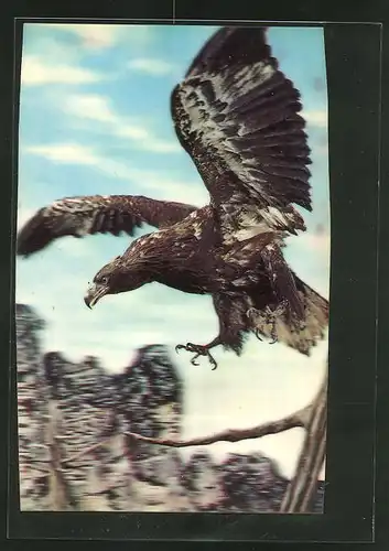3D-AK Adler nimmt seine Beute ins Visier