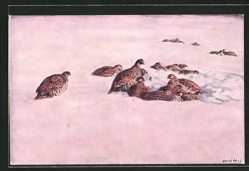 Künstler-AK III. Koroptve ve snehu, Vögel liegen im Schnee