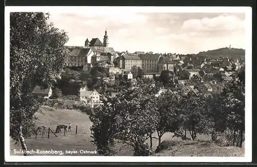 AK Sulzbach-Rosenberg, Panorama