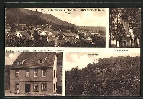 AK Dannenfels, Gasthaus von Valentin Merz, Molkenfels, Ludwigsturm