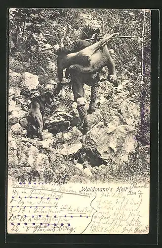 AK Jäger stolziert mit totem Rehbock auf dem Rücken durch den Wald, Waidmanns Heil