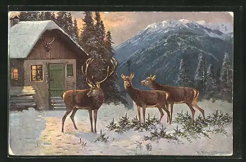 Künstler-AK M. Müller jun.: Hirsch mit Hirschkühen an einem Haus im Winter
