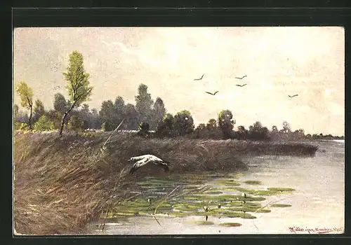 Künstler-AK M. Müller jun.: Vögel beim Überflug eines Sees