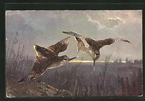 Künstler-AK M. Müller jun.: zwei fliegende Vögel über den Bäumen