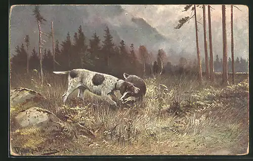 Künstler-AK M. Müller jun.: Jagdhund mit Dachs im Maul