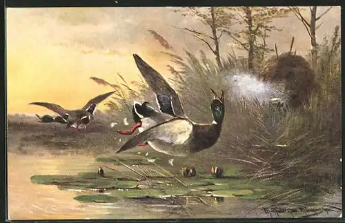 Künstler-AK M. Müller jun.: Jäger beim Abschuss einer Ente
