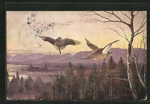Künstler-AK M. Müller jun.: fliegendes Federwild