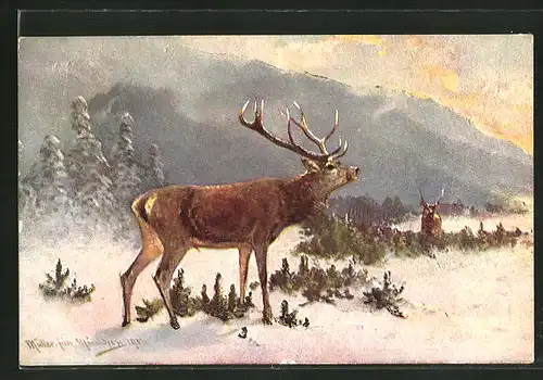 Künstler-AK M. Müller jun.: Hirsch in winterlicher Landschaft