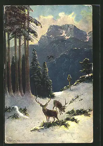 Künstler-AK M. Müller jun.: Hirsche im winterlichen Wald