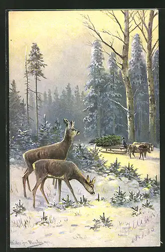 Künstler-AK M. Müller jun.: Rehe und Ochsenschlitten im winterlichen Wald