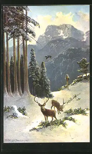 Künstler-AK M. Müller jun.: zwei Hirsche in winterlicher Landschaft