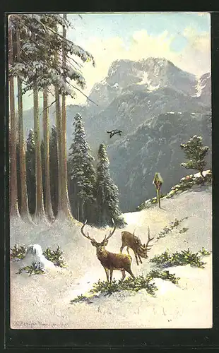 Künstler-AK M. Müller jun.: zwei Hirsche im winterlichen Wald