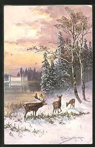 Künstler-AK M. Müller jun.: Hirsch und zwei Hirschkühe im Winter an einem See