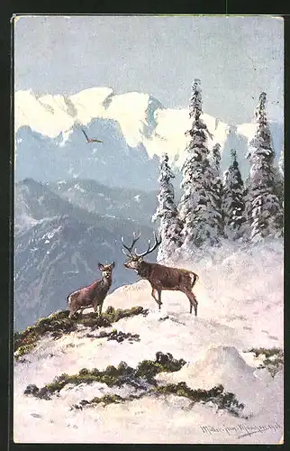 Künstler-AK M. Müller jun.: Hirsch und Hirschkuh auf winterlichen Berg
