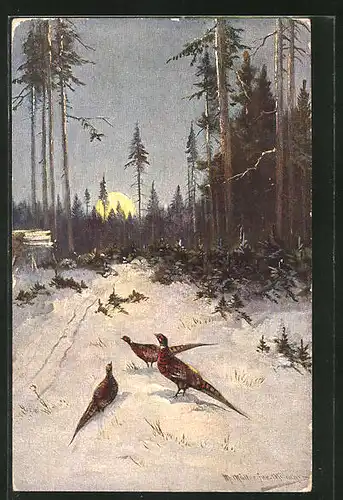 Künstler-AK M. Müller jun.: Fasane in winterlicher Landschaft
