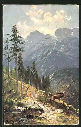 Künstler-AK M. Müller jun.: Hirsch mit Hirschkuh auf einem Berg