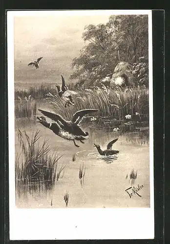 Künstler-AK Fr. Rösler: fliehende Enten am Teich
