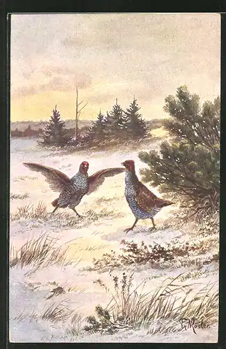 Künstler-AK Fr. Rösler: Vögel im Schnee