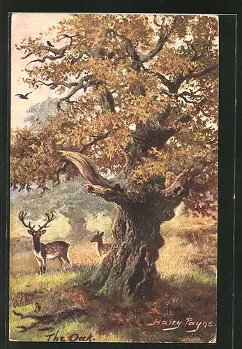 Künstler-AK Harry Payne: Hirsch & Reh an einem Baum