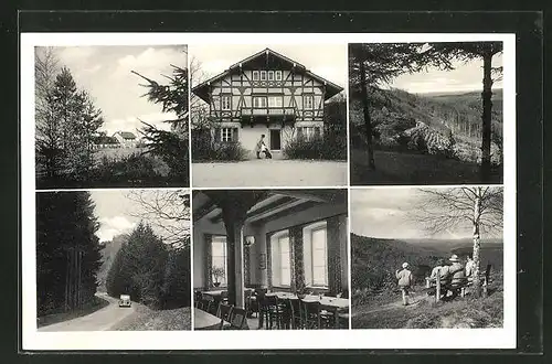 AK Annweiler / Trifels, Gaststätte Forsthaus Taubensuhl, verschiedene Ortsansichten