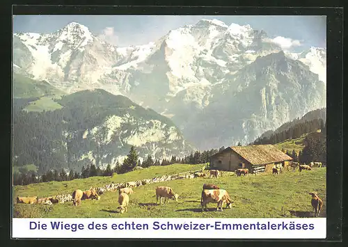 Werbebillet Langnau-Emmental, Schweizer Emmentaler Käse Lemann & Co., Kühe weiden, verschiedener Käse