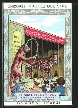 Sammelbild Le Singe & le Leopard, Zirkus, Leopard im Käfig, Affe mit Reif auf Ball balanzierend