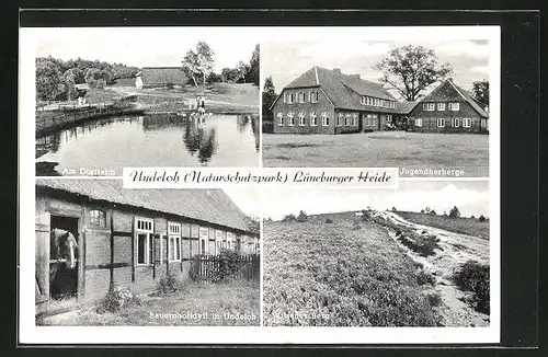 AK Undeloh /Lüneburger Heide, Bauerhofidyll, Jugendherberge, Am Dorfteich